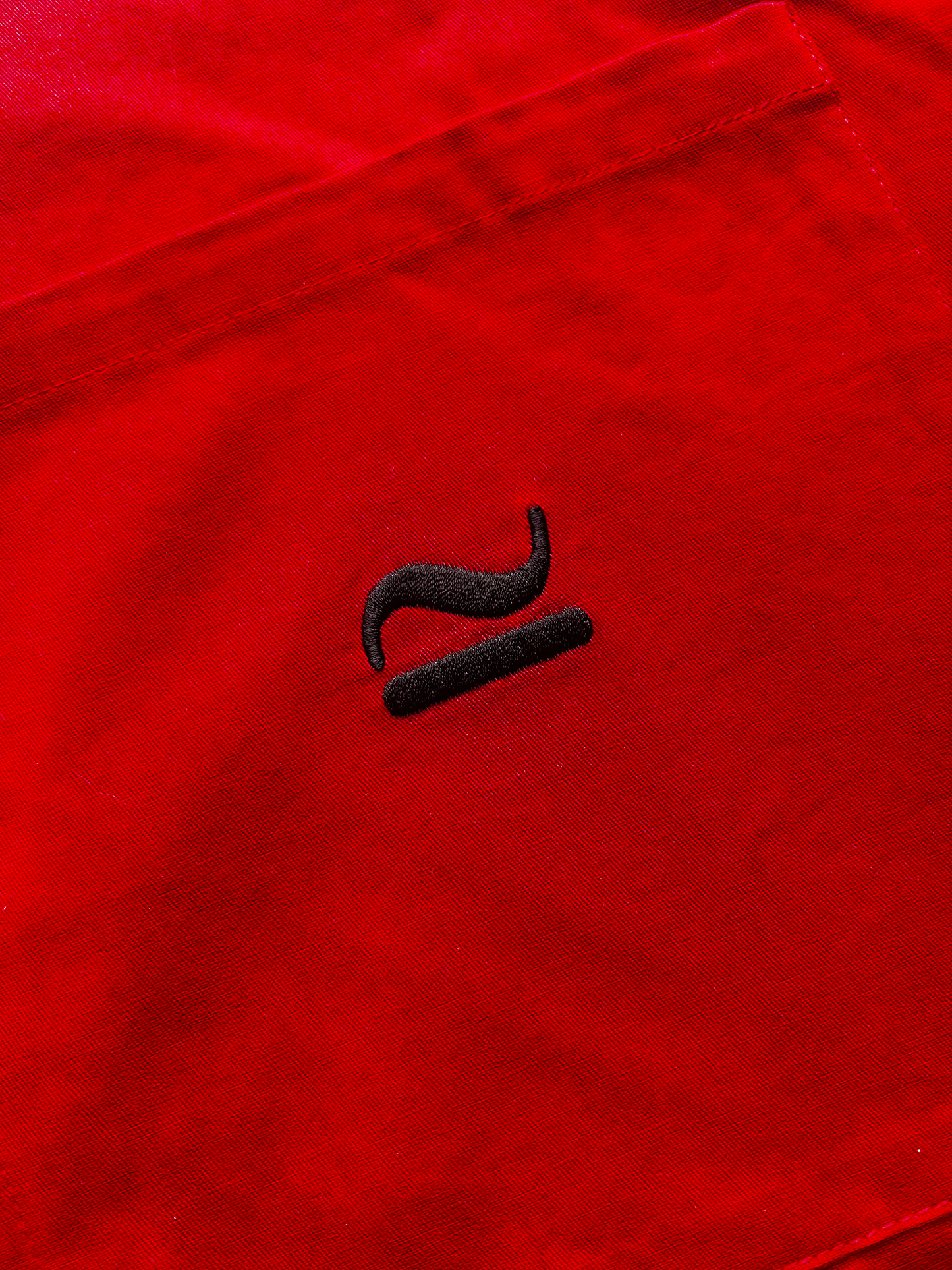 Camisa Manga Corta - Viva la Bam