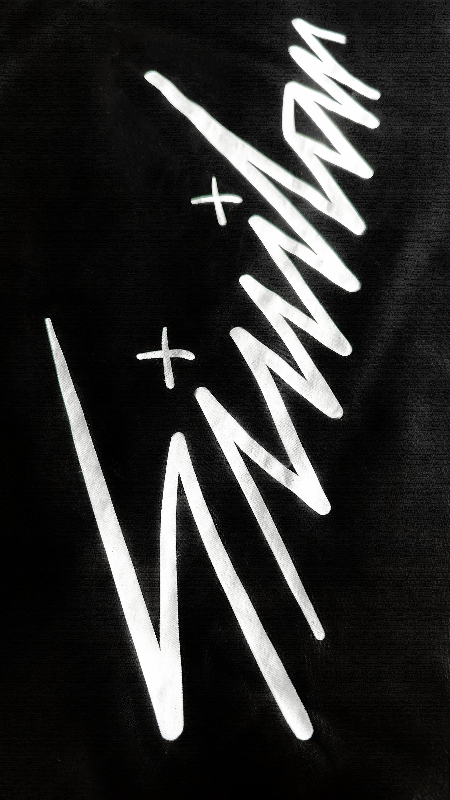 Camiseta Manga Larga - Nookie