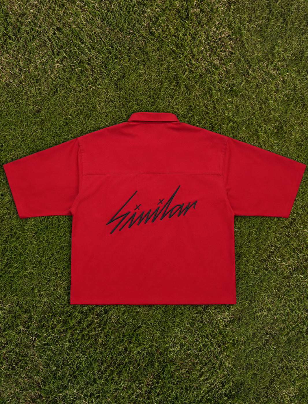 Camisa Manga Corta - Viva la Bam